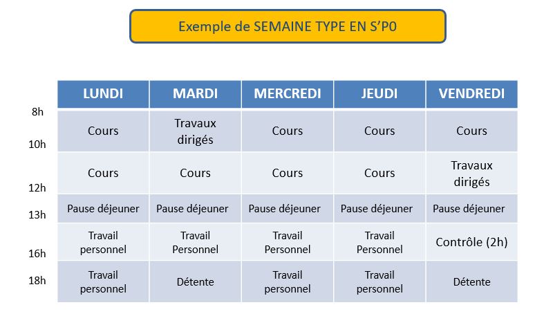 Sup'Perform - SP Zéro - exemple semaine