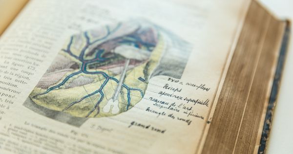 Livre d'anatomie ouvert sur un schéma de l'épaule