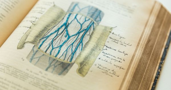 Livre d'anatomie ouvert sur un schéma du système veineux de l'avant bras