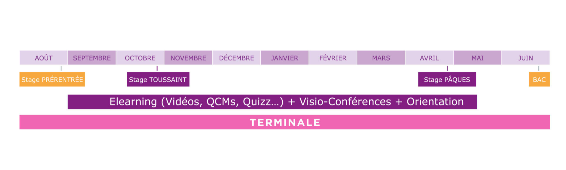 frise chronologique de l'année de terminale santé 
