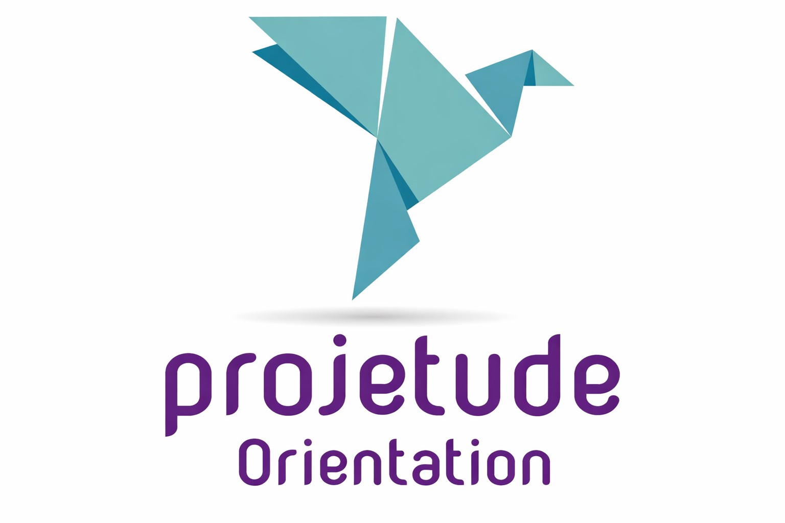 Logo Projetude 2026 Math & Ca